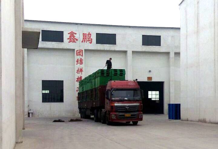 啤酒廠專用塑料托盤裝車發走